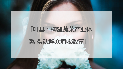 叶县：构建蔬菜产业体系 带动群众增收致富