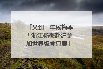 又到一年杨梅季！浙江杨梅赴沪参加世界级食品展