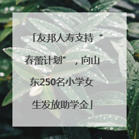 友邦人寿支持“春蕾计划”，向山东250名小学女生发放助学金