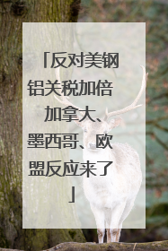 反对美钢铝关税加倍 加拿大、墨西哥、欧盟反应来了