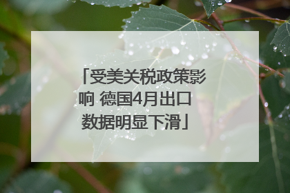 受美关税政策影响 德国4月出口数据明显下滑