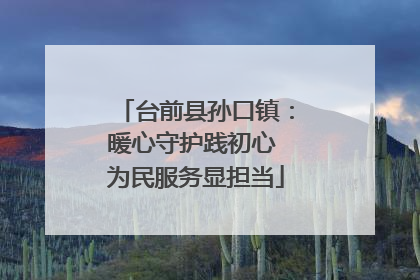 台前县孙口镇：暖心守护践初心 为民服务显担当