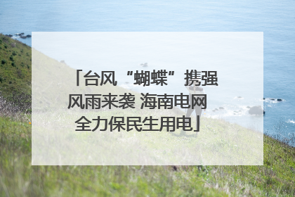 台风“蝴蝶”携强风雨来袭 海南电网全力保民生用电
