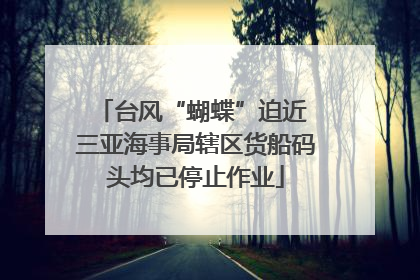 台风“蝴蝶”迫近 三亚海事局辖区货船码头均已停止作业