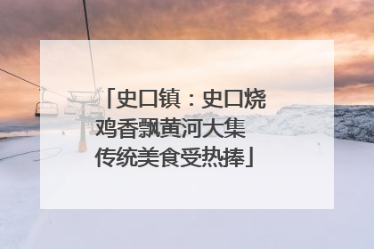 史口镇：史口烧鸡香飘黄河大集 传统美食受热捧