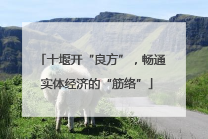 十堰开“良方”，畅通实体经济的“筋络”