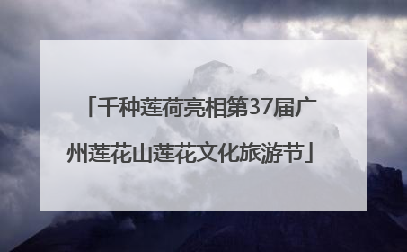 千种莲荷亮相第37届广州莲花山莲花文化旅游节