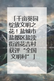 千亩葵园绽放文明之花！盐城市盐都区盐渎街道花吉村获评“全国文明村”