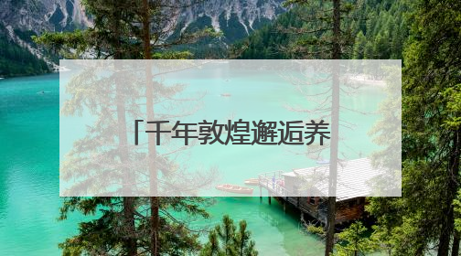 千年敦煌邂逅养固健，注解「新平衡•东方美」
