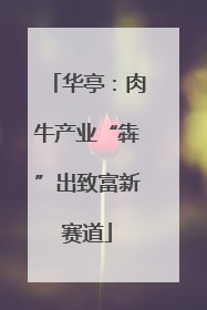 华亭：肉牛产业“犇”出致富新赛道