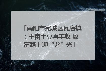 南阳市宛城区瓦店镇：千亩土豆喜丰收 致富路上迎“薯”光