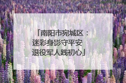 南阳市宛城区：迷彩身影守平安 退役军人践初心
