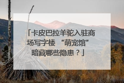 卡皮巴拉羊驼入驻商场写字楼 “萌宠馆”暗藏哪些隐患？