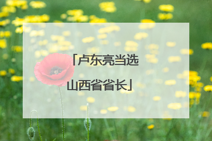 卢东亮当选山西省省长