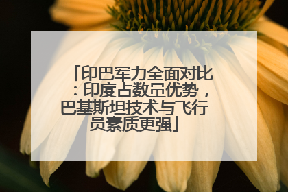 印巴军力全面对比：印度占数量优势，巴基斯坦技术与飞行员素质更强