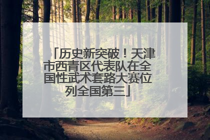历史新突破！天津市西青区代表队在全国性武术套路大赛位列全国第三