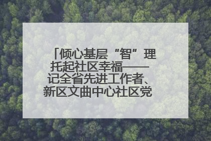 倾心基层“智”理 托起社区幸福——记全省先进工作者、新区文曲中心社区党委书记董世弘