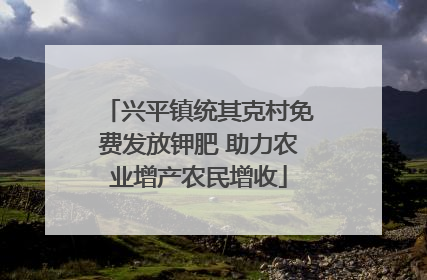 兴平镇统其克村免费发放钾肥 助力农业增产农民增收