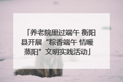 养老院里过端午 衡阳县开展“粽香端午 情暖蒸阳”文明实践活动