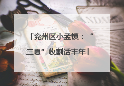 兖州区小孟镇：“三夏”收割话丰年