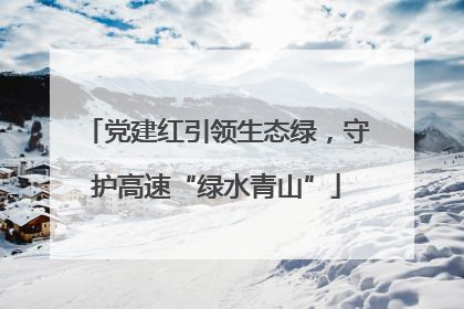 党建红引领生态绿，守护高速“绿水青山”