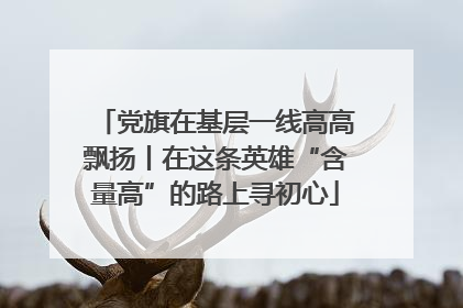 党旗在基层一线高高飘扬丨在这条英雄“含量高”的路上寻初心