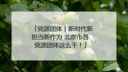 党派团体｜新时代新担当新作为 北京市各党派团体这么干！