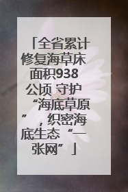 全省累计修复海草床面积938公顷 守护“海底草原”，织密海底生态“一张网”