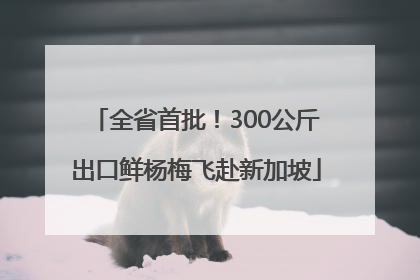 全省首批！300公斤出口鲜杨梅飞赴新加坡