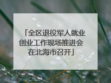 全区退役军人就业创业工作现场推进会在北海市召开