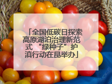 全国低碳日探索高原湖泊治理新范式 “绿种子”护滇行动在昆举办