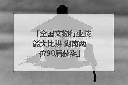 全国文物行业技能大比拼 湖南两位90后获奖