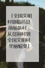 全国文明村镇临邑县前杨新村：从贫困村到全国文明村华丽蜕变