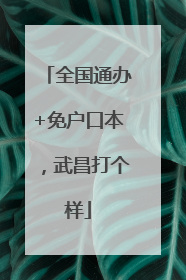 全国通办+免户口本，武昌打个样