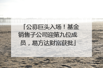 公募巨头入场！基金销售子公司迎第九位成员，易方达财富获批