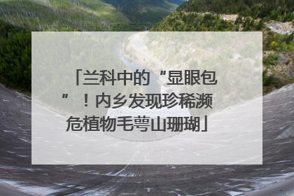 兰科中的“显眼包”！内乡发现珍稀濒危植物毛萼山珊瑚