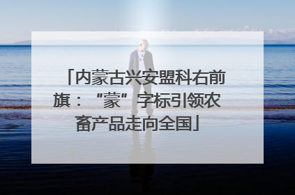内蒙古兴安盟科右前旗：“蒙”字标引领农畜产品走向全国