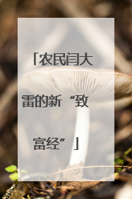 农民闫大雷的新“致富经”
