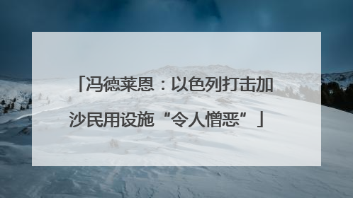冯德莱恩：以色列打击加沙民用设施“令人憎恶”