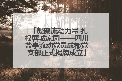 凝聚流动力量 扎根蓉城家园——四川盐亭流动党员成都党支部正式揭牌成立