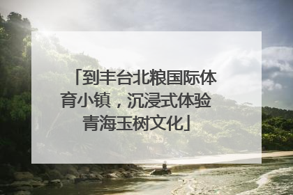 到丰台北粮国际体育小镇，沉浸式体验青海玉树文化
