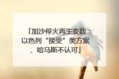 加沙停火再生变数：以色列“接受”美方案、哈马斯不认可