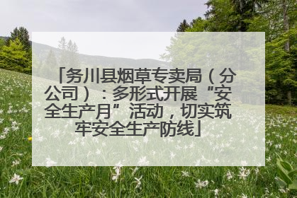务川县烟草专卖局（分公司）：多形式开展“安全生产月”活动，切实筑牢安全生产防线