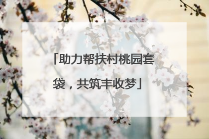 助力帮扶村桃园套袋，共筑丰收梦