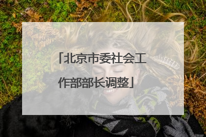 北京市委社会工作部部长调整