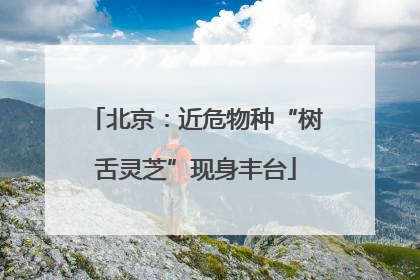 北京：近危物种“树舌灵芝”现身丰台