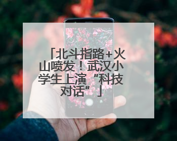 北斗指路+火山喷发！武汉小学生上演“科技对话”