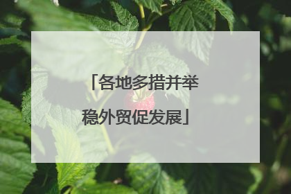 各地多措并举稳外贸促发展