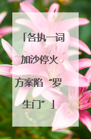 各执一词 加沙停火方案陷“罗生门”