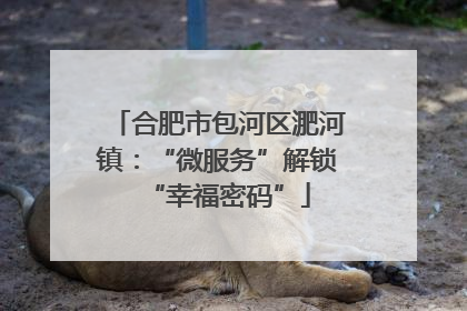 合肥市包河区淝河镇：“微服务”解锁“幸福密码”